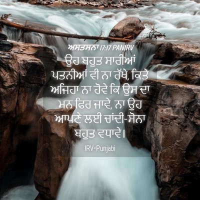 Picture 04 - ਅਸਤਸਨਾ 17:17 PANIRV - ਉਹ ਬਹੁਤ ਸਾਰੀਆਂ - Bible Verse Picture
