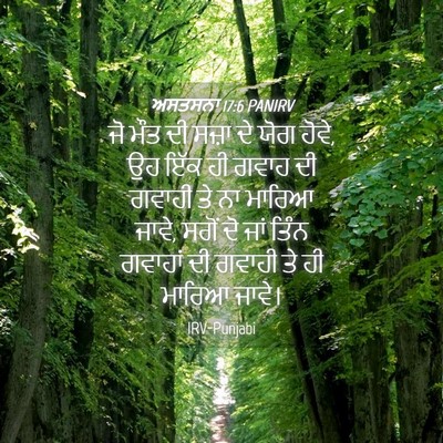 Picture 04 - ਅਸਤਸਨਾ 17:6 PANIRV - ਜੋ ਮੌਤ ਦੀ ਸਜ਼ਾ ਦੇ - Bible Verse Picture