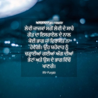 Picture 04 - ਅਸਤਸਨਾ 18:1 PANIRV - ਲੇਵੀ ਜਾਜਕਾਂ ਸਗੋਂ - Bible Verse Picture