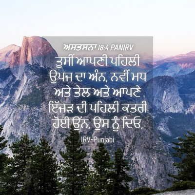 Picture 04 - ਅਸਤਸਨਾ 18:4 PANIRV - ਤੁਸੀਂ ਆਪਣੀ ਪਹਿਲੀ - Bible Verse Picture