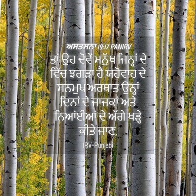 Picture 04 - ਅਸਤਸਨਾ 19:17 PANIRV - ਤਾਂ ਉਹ ਦੋਵੇਂ ਮਨੁੱਖ - Bible Verse Picture