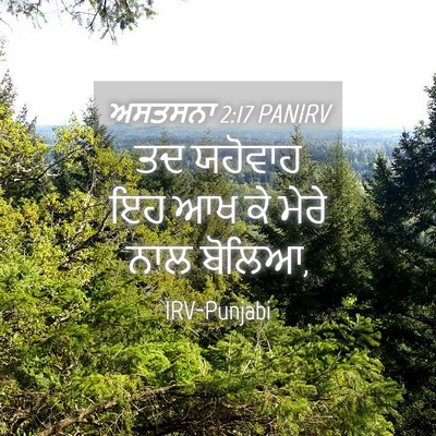 Picture 04 - ਅਸਤਸਨਾ 2:17 PANIRV - ਤਦ ਯਹੋਵਾਹ ਇਹ ਆਖ ਕੇ - Bible Verse Picture