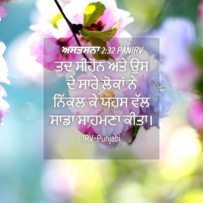 Picture 04 - ਅਸਤਸਨਾ 2:32 PANIRV - ਤਦ ਸੀਹੋਨ ਅਤੇ ਉਸ ਦੇ - Bible Verse Picture