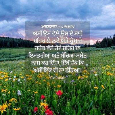 Picture 04 - ਅਸਤਸਨਾ 2:34 PANIRV - ਅਸੀਂ ਉਸ ਵੇਲੇ ਉਸ ਦੇ - Bible Verse Picture