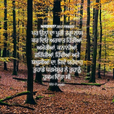Picture 04 - ਅਸਤਸਨਾ 20:17 PANIRV - ਪਰ ਉਨ੍ਹਾਂ ਦਾ ਪੂਰੀ - Bible Verse Picture
