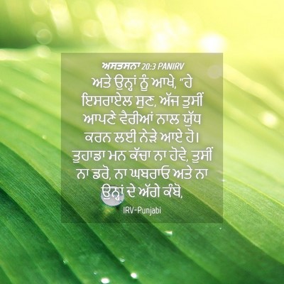 Picture 04 - ਅਸਤਸਨਾ 20:3 PANIRV - ਅਤੇ ਉਨ੍ਹਾਂ ਨੂੰ ਆਖੇ, - Bible Verse Picture