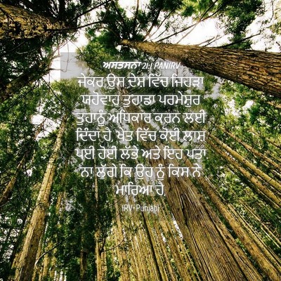 Picture 04 - ਅਸਤਸਨਾ 21:1 PANIRV - ਜੇਕਰ ਉਸ ਦੇਸ਼ ਵਿੱਚ - Bible Verse Picture
