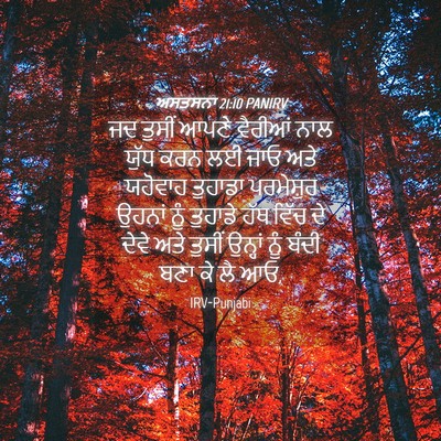 Picture 04 - ਅਸਤਸਨਾ 21:10 PANIRV - ਜਦ ਤੁਸੀਂ ਆਪਣੇ - Bible Verse Picture