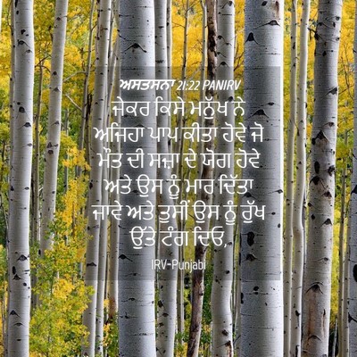 Picture 04 - ਅਸਤਸਨਾ 21:22 PANIRV - ਜੇਕਰ ਕਿਸੇ ਮਨੁੱਖ ਨੇ - Bible Verse Picture