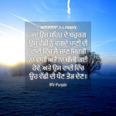Picture 04 - ਅਸਤਸਨਾ 21:4 PANIRV - ਤਦ ਉਸ ਸ਼ਹਿਰ ਦੇ - Bible Verse Picture
