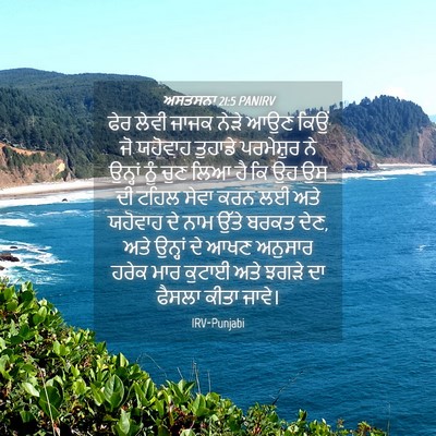 Picture 04 - ਅਸਤਸਨਾ 21:5 PANIRV - ਫੇਰ ਲੇਵੀ ਜਾਜਕ ਨੇੜੇ - Bible Verse Picture