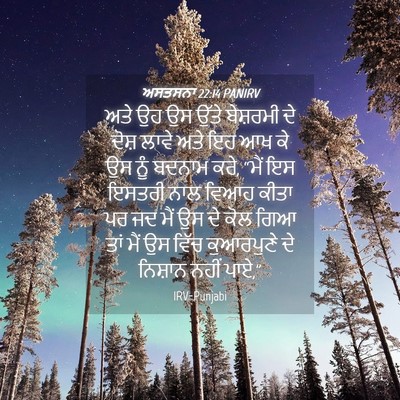 Picture 04 - ਅਸਤਸਨਾ 22:14 PANIRV - ਅਤੇ ਉਹ ਉਸ ਉੱਤੇ - Bible Verse Picture
