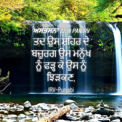 Picture 04 - ਅਸਤਸਨਾ 22:18 PANIRV - ਤਦ ਉਸ ਸ਼ਹਿਰ ਦੇ - Bible Verse Picture
