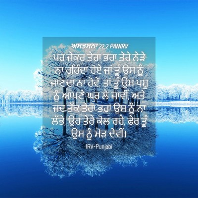 Picture 04 - ਅਸਤਸਨਾ 22:2 PANIRV - ਪਰ ਜੇਕਰ ਤੇਰਾ ਭਰਾ - Bible Verse Picture