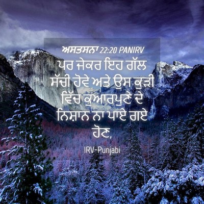 Picture 04 - ਅਸਤਸਨਾ 22:20 PANIRV - ਪਰ ਜੇਕਰ ਇਹ ਗੱਲ ਸੱਚੀ - Bible Verse Picture