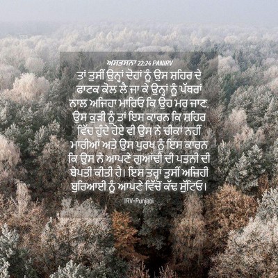Picture 04 - ਅਸਤਸਨਾ 22:24 PANIRV - ਤਾਂ ਤੁਸੀਂ ਉਨ੍ਹਾਂ - Bible Verse Picture