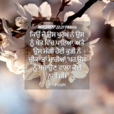 Picture 04 - ਅਸਤਸਨਾ 22:27 PANIRV - ਕਿਉਂ ਜੋ ਉਸ ਪੁਰਖ ਨੇ - Bible Verse Picture