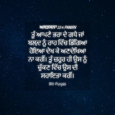 Picture 04 - ਅਸਤਸਨਾ 22:4 PANIRV - ਤੂੰ ਆਪਣੇ ਭਰਾ ਦੇ ਗਧੇ - Bible Verse Picture
