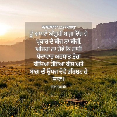 Picture 04 - ਅਸਤਸਨਾ 22:9 PANIRV - ਤੂੰ ਆਪਣੇ ਅੰਗੂਰੀ - Bible Verse Picture