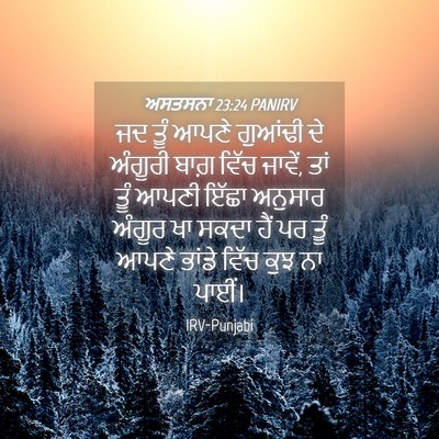 Picture 04 - ਅਸਤਸਨਾ 23:24 PANIRV - ਜਦ ਤੂੰ ਆਪਣੇ ਗੁਆਂਢੀ - Bible Verse Picture