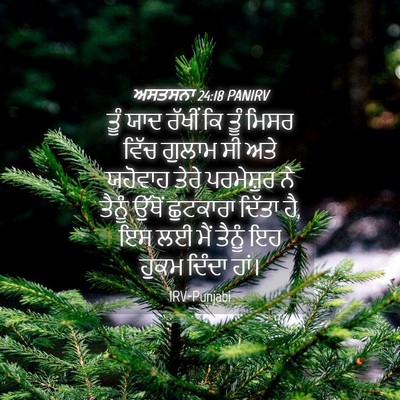 Picture 04 - ਅਸਤਸਨਾ 24:18 PANIRV - ਤੂੰ ਯਾਦ ਰੱਖੀਂ ਕਿ - Bible Verse Picture