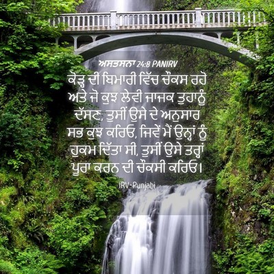 Picture 04 - ਅਸਤਸਨਾ 24:8 PANIRV - ਕੋੜ੍ਹ ਦੀ ਬਿਮਾਰੀ - Bible Verse Picture