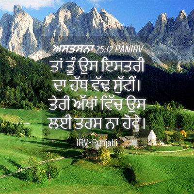 Picture 04 - ਅਸਤਸਨਾ 25:12 PANIRV - ਤਾਂ ਤੂੰ ਉਸ ਇਸਤਰੀ ਦਾ - Bible Verse Picture