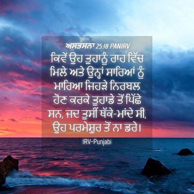 Picture 04 - ਅਸਤਸਨਾ 25:18 PANIRV - ਕਿਵੇਂ ਉਹ ਤੁਹਾਨੂੰ - Bible Verse Picture