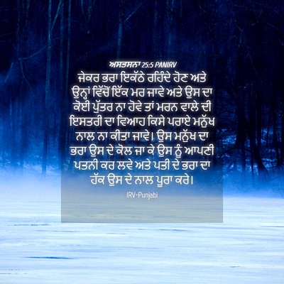 Picture 04 - ਅਸਤਸਨਾ 25:5 PANIRV - ਜੇਕਰ ਭਰਾ ਇਕੱਠੇ - Bible Verse Picture