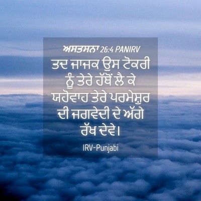 Picture 04 - ਅਸਤਸਨਾ 26:4 PANIRV - ਤਦ ਜਾਜਕ ਉਸ ਟੋਕਰੀ - Bible Verse Picture
