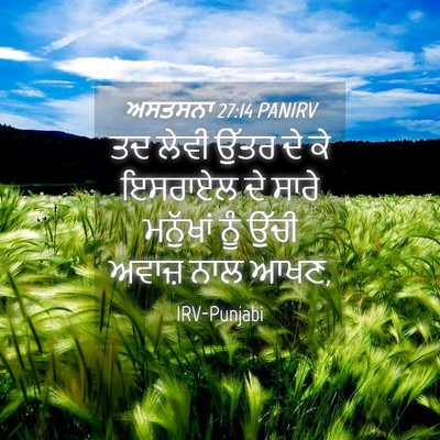 Picture 04 - ਅਸਤਸਨਾ 27:14 PANIRV - ਤਦ ਲੇਵੀ ਉੱਤਰ ਦੇ ਕੇ - Bible Verse Picture