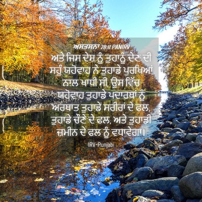 Picture 04 - ਅਸਤਸਨਾ 28:11 PANIRV - ਅਤੇ ਜਿਸ ਦੇਸ਼ ਨੂੰ - Bible Verse Picture