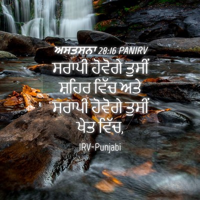 Picture 04 - ਅਸਤਸਨਾ 28:16 PANIRV - ਸਰਾਪੀ ਹੋਵੋਗੇ - Bible Verse Picture