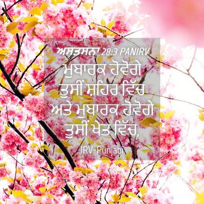 Picture 04 - ਅਸਤਸਨਾ 28:3 PANIRV - ਮੁਬਾਰਕ ਹੋਵੋਗੇ - Bible Verse Picture