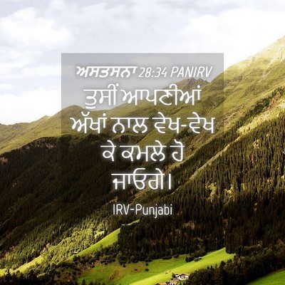 Picture 04 - ਅਸਤਸਨਾ 28:34 PANIRV - ਤੁਸੀਂ ਆਪਣੀਆਂ - Bible Verse Picture