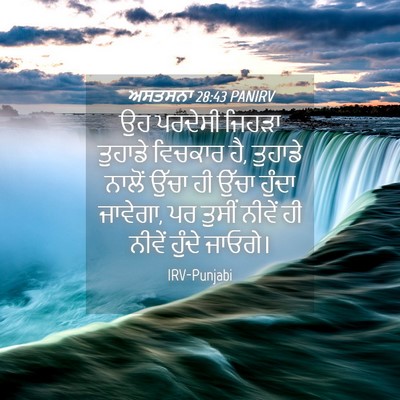 Picture 04 - ਅਸਤਸਨਾ 28:43 PANIRV - ਉਹ ਪਰਦੇਸੀ ਜਿਹੜਾ - Bible Verse Picture