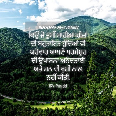 Picture 04 - ਅਸਤਸਨਾ 28:47 PANIRV - ਕਿਉਂ ਜੋ ਤੁਸੀਂ - Bible Verse Picture