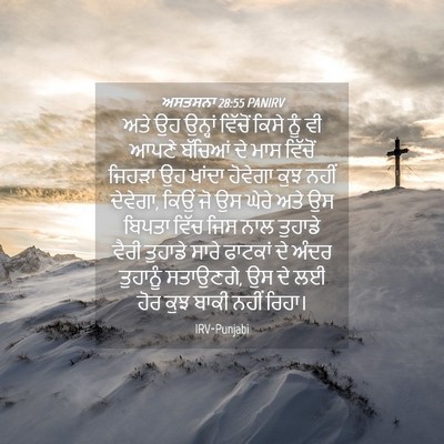Picture 04 - ਅਸਤਸਨਾ 28:55 PANIRV - ਅਤੇ ਉਹ ਉਨ੍ਹਾਂ - Bible Verse Picture