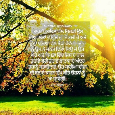 Picture 04 - ਅਸਤਸਨਾ 28:57 PANIRV - ਆਪਣੀ ਆਓਲ ਵੱਲ ਜਿਹੜੀ - Bible Verse Picture