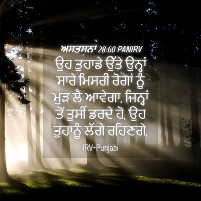 Picture 04 - ਅਸਤਸਨਾ 28:60 PANIRV - ਉਹ ਤੁਹਾਡੇ ਉੱਤੇ - Bible Verse Picture
