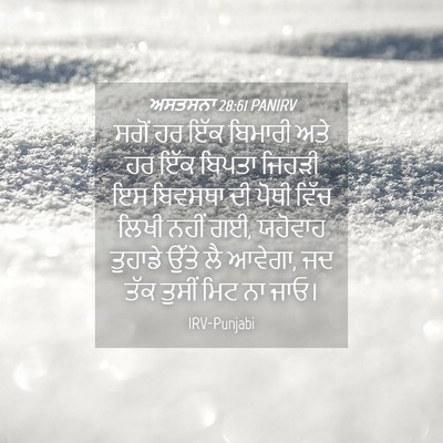 Picture 04 - ਅਸਤਸਨਾ 28:61 PANIRV - ਸਗੋਂ ਹਰ ਇੱਕ ਬਿਮਾਰੀ - Bible Verse Picture