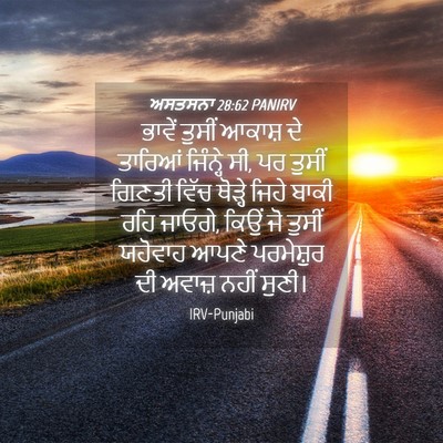 Picture 04 - ਅਸਤਸਨਾ 28:62 PANIRV - ਭਾਵੇਂ ਤੁਸੀਂ ਆਕਾਸ਼ - Bible Verse Picture