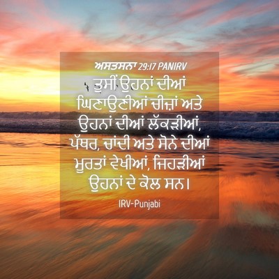 Picture 04 - ਅਸਤਸਨਾ 29:17 PANIRV - ਤੁਸੀਂ ਉਹਨਾਂ ਦੀਆਂ - Bible Verse Picture