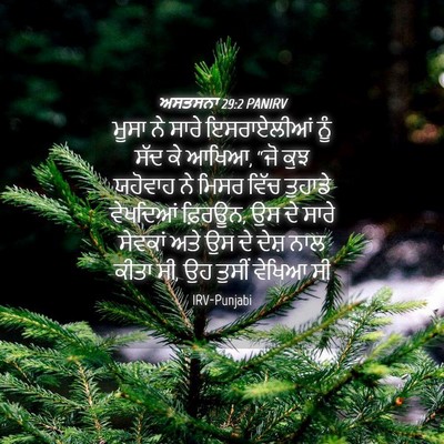 Picture 04 - ਅਸਤਸਨਾ 29:2 PANIRV - ਮੂਸਾ ਨੇ ਸਾਰੇ - Bible Verse Picture