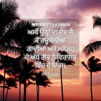 Picture 04 - ਅਸਤਸਨਾ 29:8 PANIRV - ਅਸੀਂ ਉਨ੍ਹਾਂ ਦਾ - Bible Verse Picture