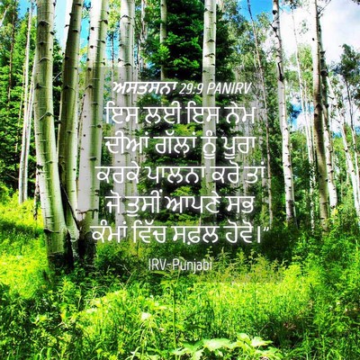 Picture 04 - ਅਸਤਸਨਾ 29:9 PANIRV - ਇਸ ਲਈ ਇਸ ਨੇਮ ਦੀਆਂ - Bible Verse Picture