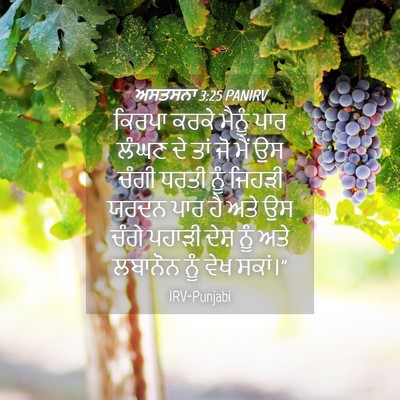Picture 04 - ਅਸਤਸਨਾ 3:25 PANIRV - ਕਿਰਪਾ ਕਰਕੇ ਮੈਨੂੰ - Bible Verse Picture