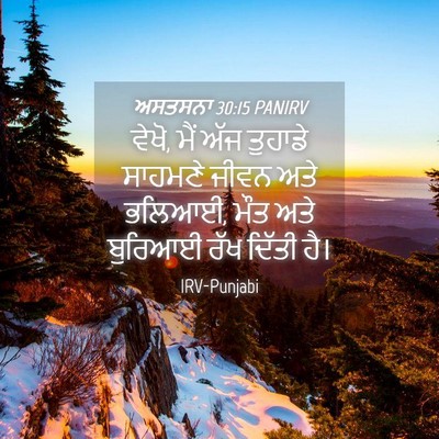 Picture 04 - ਅਸਤਸਨਾ 30:15 PANIRV - ਵੇਖੋ, ਮੈਂ ਅੱਜ - Bible Verse Picture