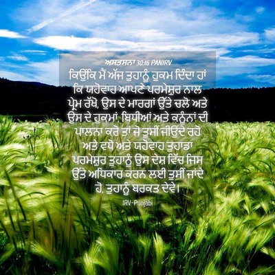 Picture 04 - ਅਸਤਸਨਾ 30:16 PANIRV - ਕਿਉਂਕਿ ਮੈਂ ਅੱਜ - Bible Verse Picture