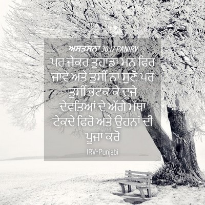 Picture 04 - ਅਸਤਸਨਾ 30:17 PANIRV - ਪਰ ਜੇਕਰ ਤੁਹਾਡਾ ਮਨ - Bible Verse Picture
